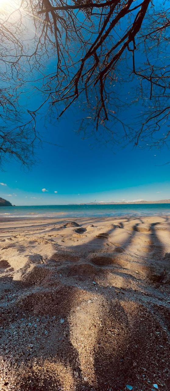 Tamarindo Beach, Prime Location, Fantastic Watersalt Pool & Cold Plunge, Family & Friends Exterior foto